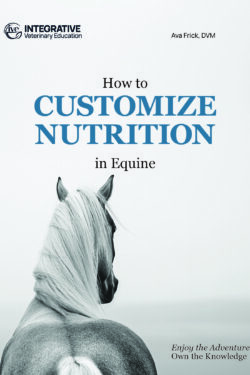 How To Customize Nutrition In Equine - A Body Systems Approach