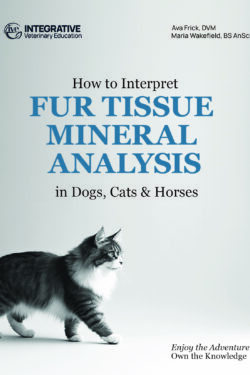 How to interpret Hair Tissue Mineral Analysis in Dogs, Cats & Horses  (NEW EDITION)